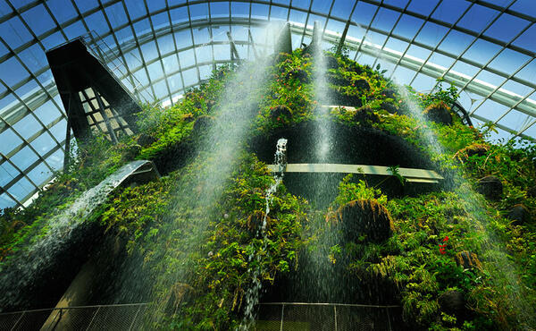 Супердърветата във футуристичните градини на Сингапур