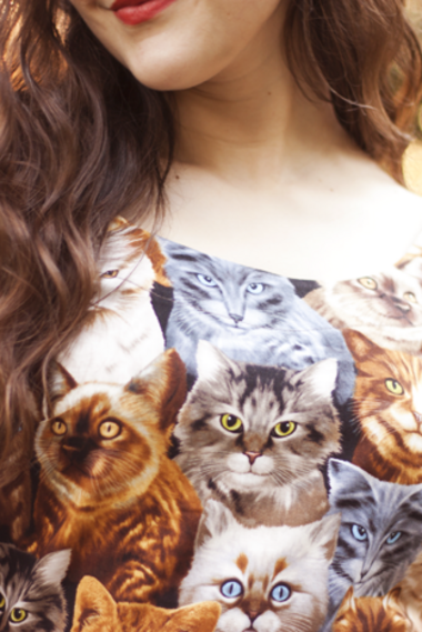 Изборът на Jenite: Милиони котки по роклята
