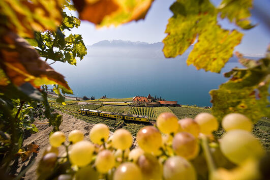 Златна есен по швейцарски