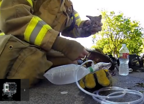 Най-трогателното видео: Пожарникар спасява малко котенце