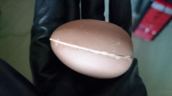 Оригинален подарък: Обици, скрити в шоколадово яйце