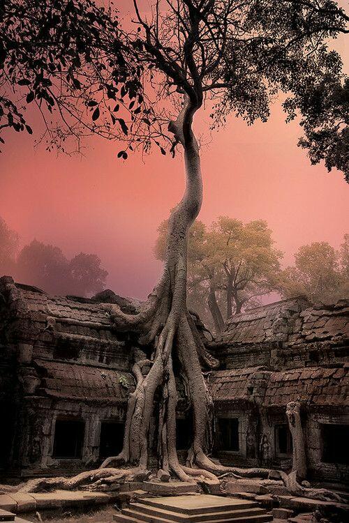 Ангкор Ват: Призракът на Камбоджа

