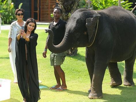 Тайландските приключения на Ким с едно слонче