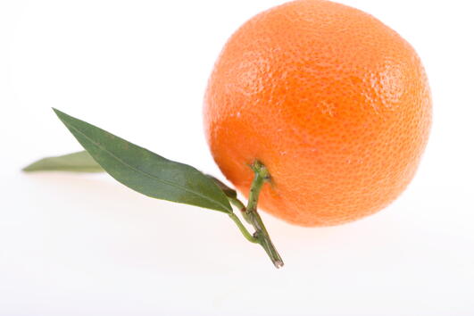 Сладки и оранжеви, а и предпазват от излишните килограми