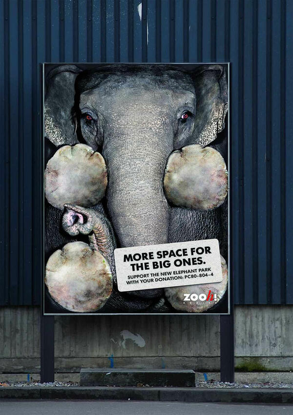 Разтърсващи социални реклами срещу насилието над животни