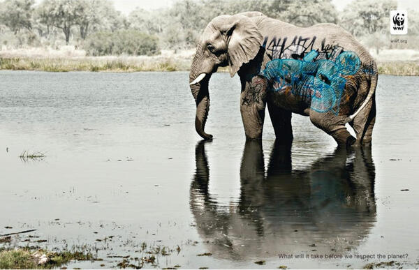 Истината боли: Социални реклами в защита на изчезващите видове