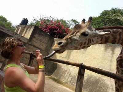 Уникално сладки и смешни реакции на животни от зоопарка
