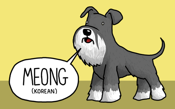 Как “говорят” кучетата на различни езици
