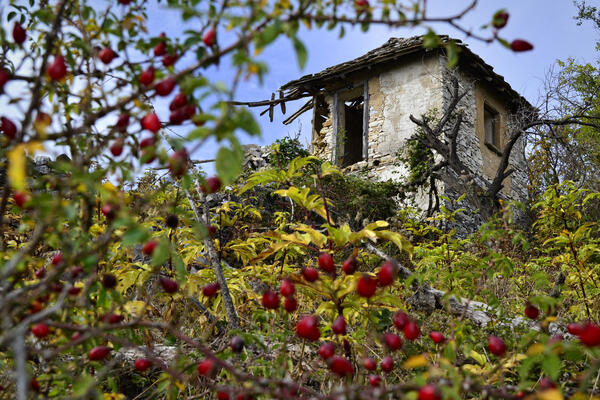 Докоснете се до меланхоличната красота на "Изоставената България"