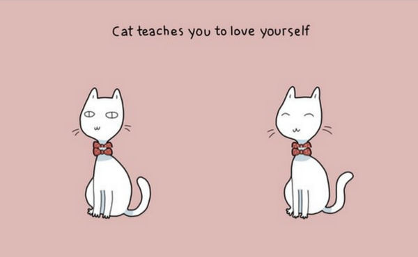 10 забавни илюстрации, които показват предимствата на съжителството с котка
