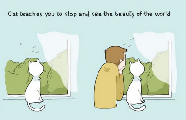 10 забавни илюстрации, които показват предимствата на съжителството с котка
