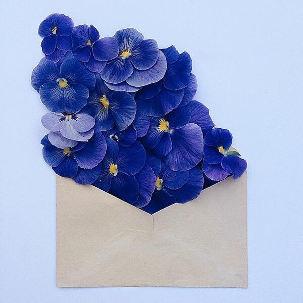 Красиви композиции, които дават нов живот на старите пощенски пликове