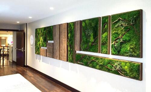 Да декорираме дома си със стена от живи растения
