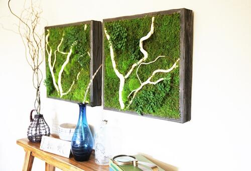 Да декорираме дома си със стена от живи растения