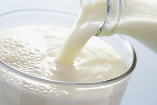 Магарешкото мляко може да е следващата суперхрана, от която всички ще са обсебени
