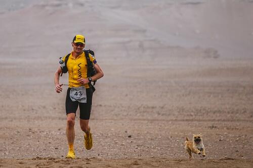 Маратонец на дълги разстояния осиновява кученце, което пробягва с него 77 мили