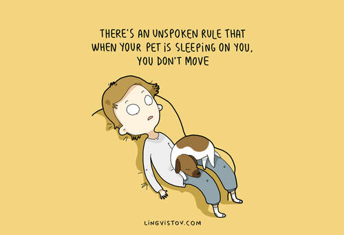 10 илюстрации, които само собствениците на куче ще разберат 