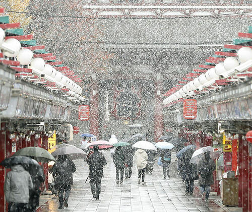 Първият ноемврийски сняг в Токио от 54 години насам
