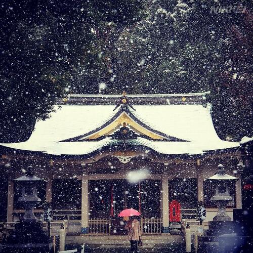 Първият ноемврийски сняг в Токио от 54 години насам