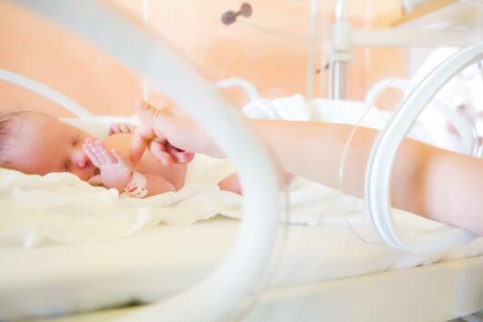 Недоносените бебета - Ключови факти