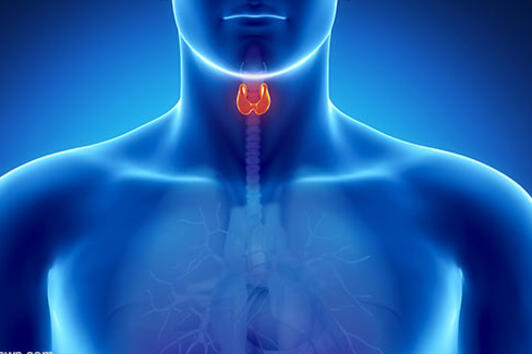 Трябва ли да се притеснявате за болестите на щитовидната жлеза?