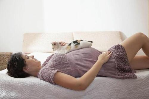 Как да се предпазите от токсоплазмоза по време на бременността, ако имате котка