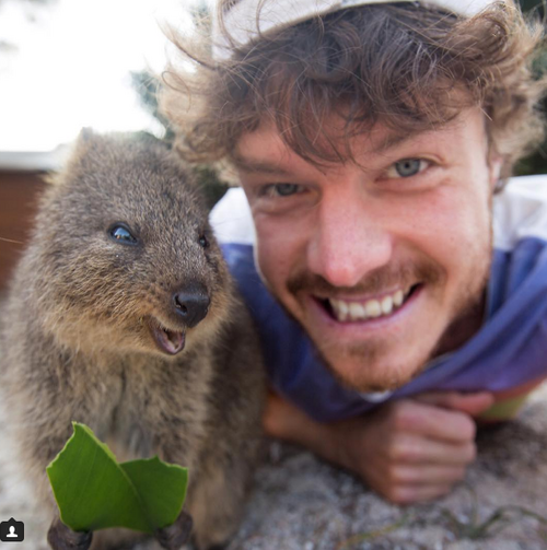 7 страхотни неща, които могат да ви се случат само в Австралия