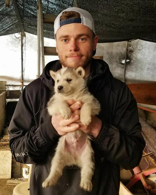 Американски скиор спасява 90 кучета от корейска ферма за кучешко месо 