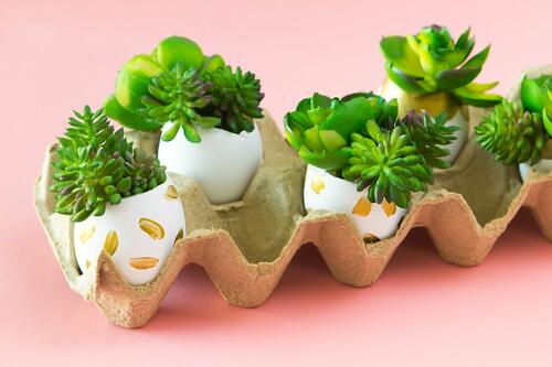 Интересни идеи за декорация на яйца 