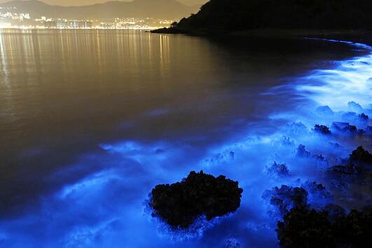 Невероятен биолуминесцентен морски блясък