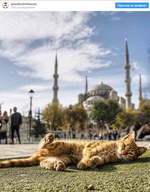10 причини да посетите Турция 