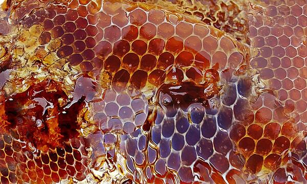Колко е полезно да си хапваме мед за здравето и красотата?