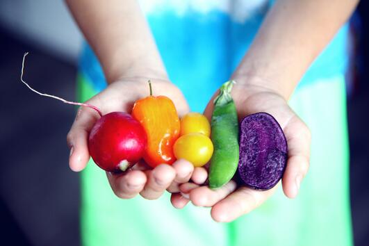 Как да провокирате децата си да хапват повече зеленчуци