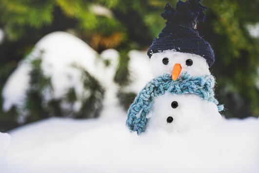 18-ти януари- Атанасовден и Световният ден на снежния човек 