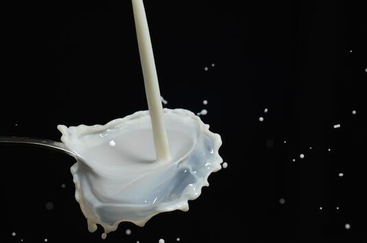 15 забавни факта за млякото 