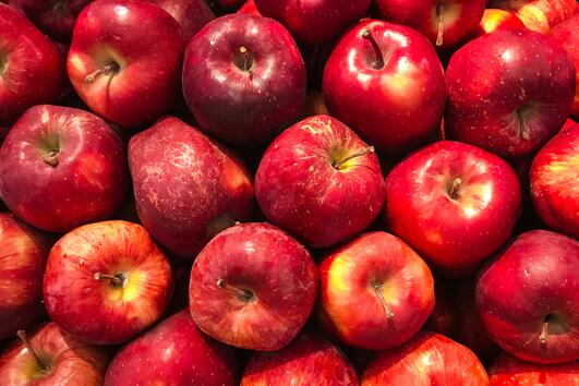Правилният начин за съхранение на ябълки 