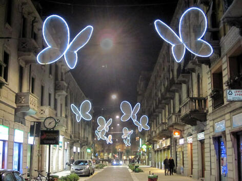 Удивителни пеперуди прехвърчат из нощен Милано