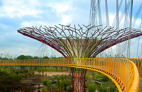 Супердърветата във футуристичните градини на Сингапур