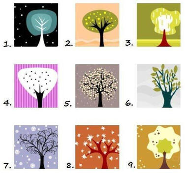 Тест: Изберете дърво и прочетете каква личност сте 