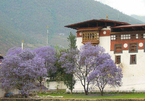 На екскурзия в Бутан?