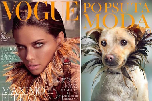 Бездомни кучета заемат мястото на моделите върху кориците на списания
