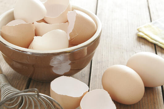 Неподозираните полезни свойства на черупките от яйца