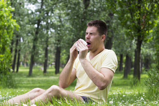Как да се приготвим за алергиите?