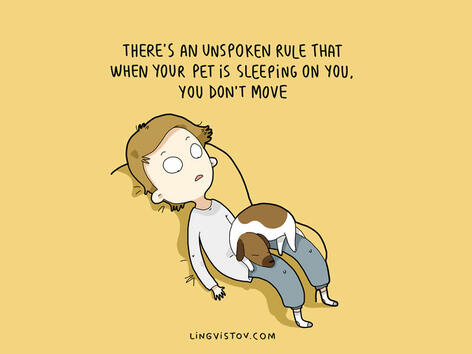 10 илюстрации, които само собствениците на куче ще разберат 