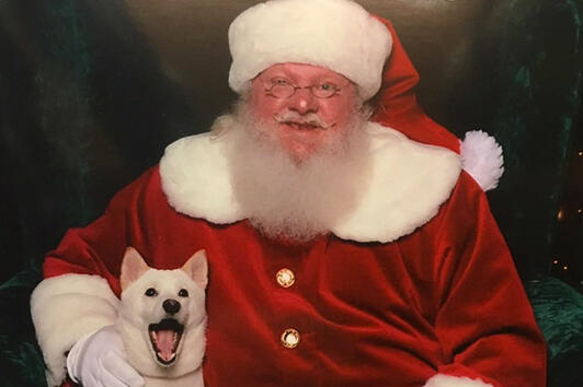 Реакцията на това куче, когато вижда Дядо Коледа, е безценна!