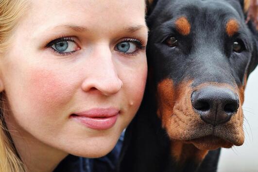 6 причини кучето да обичате кучето си повече от приятеля си