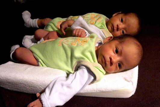 15 интересни факта, които може би не знаете за близнаците 