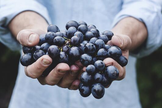 9 ползи за здравето от гроздето