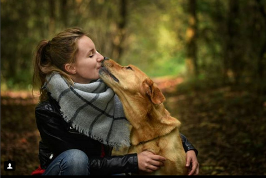 11 начина, по които вашето куче казва "Обичам те" 