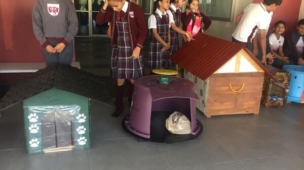 Мексикански деца строят къщи за уличните кучета, използвайки рециклирани материали